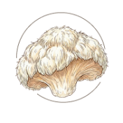 mushroom2