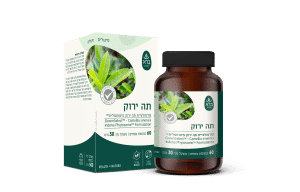כמוסות תה ירוק פיטוזום – GreenSelect | Camelia sinensis