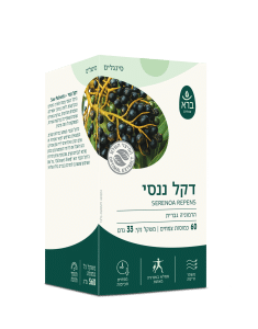 דקל ננסי | כמוסות 60 | Serenoa repens