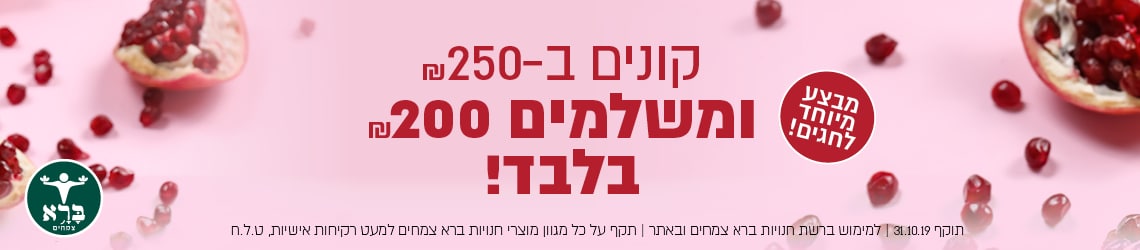 מבצע חגי תשרי