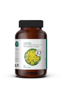 טבליות רודיולה רוזאה | Rhodiola rosea