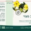⁦Tribulus terrestris leaves | קוטב מצוי⁩ – תמונה ⁦2⁩