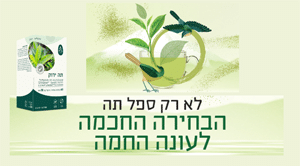 לא רק ספל תה: הבחירה החכמה לעונה החמה