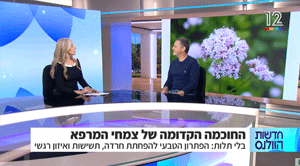 מדברות על פטריות הבריאות של ברא צמחים