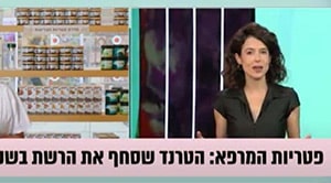 פטריות מרפא: הטרנד שסחף את הרשת