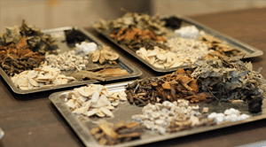 צמחי מרפא להתמודדות עם הפרעת קשב